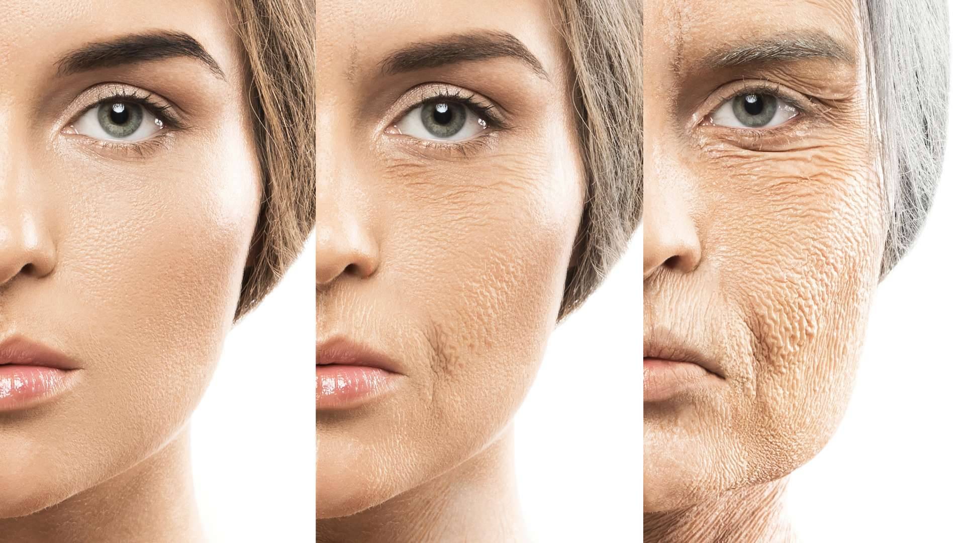 Reverse Aging