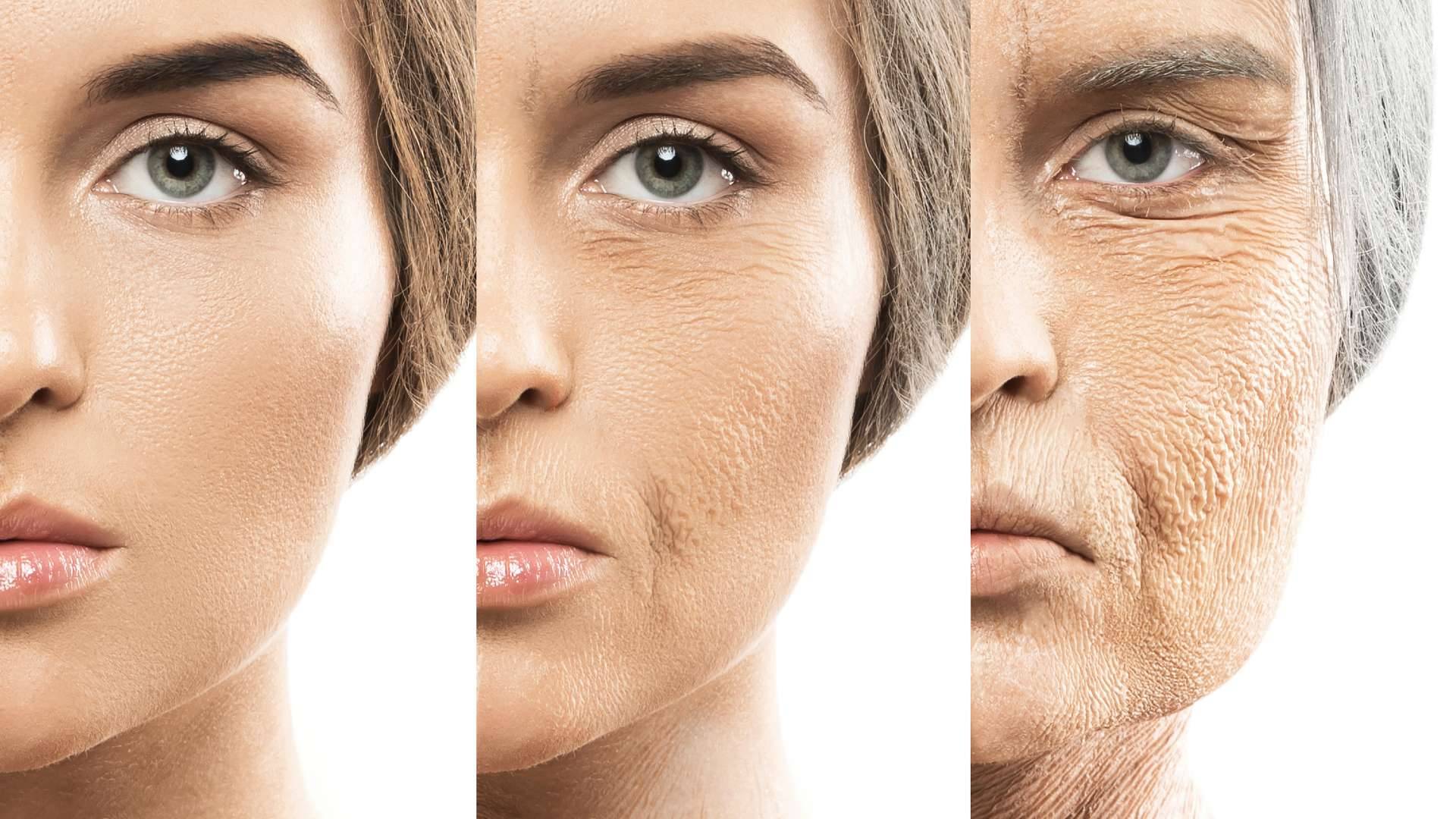 Reverse Aging